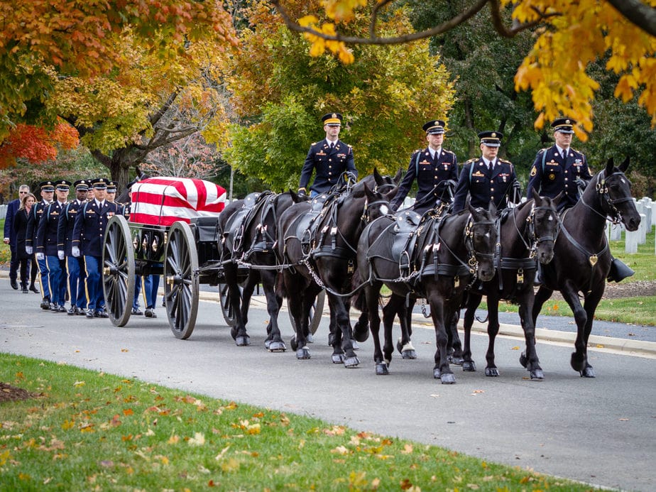 US Army Caisson on Eisenhower Drive | arlington cemetery funeral picture | Arlington media, inc.